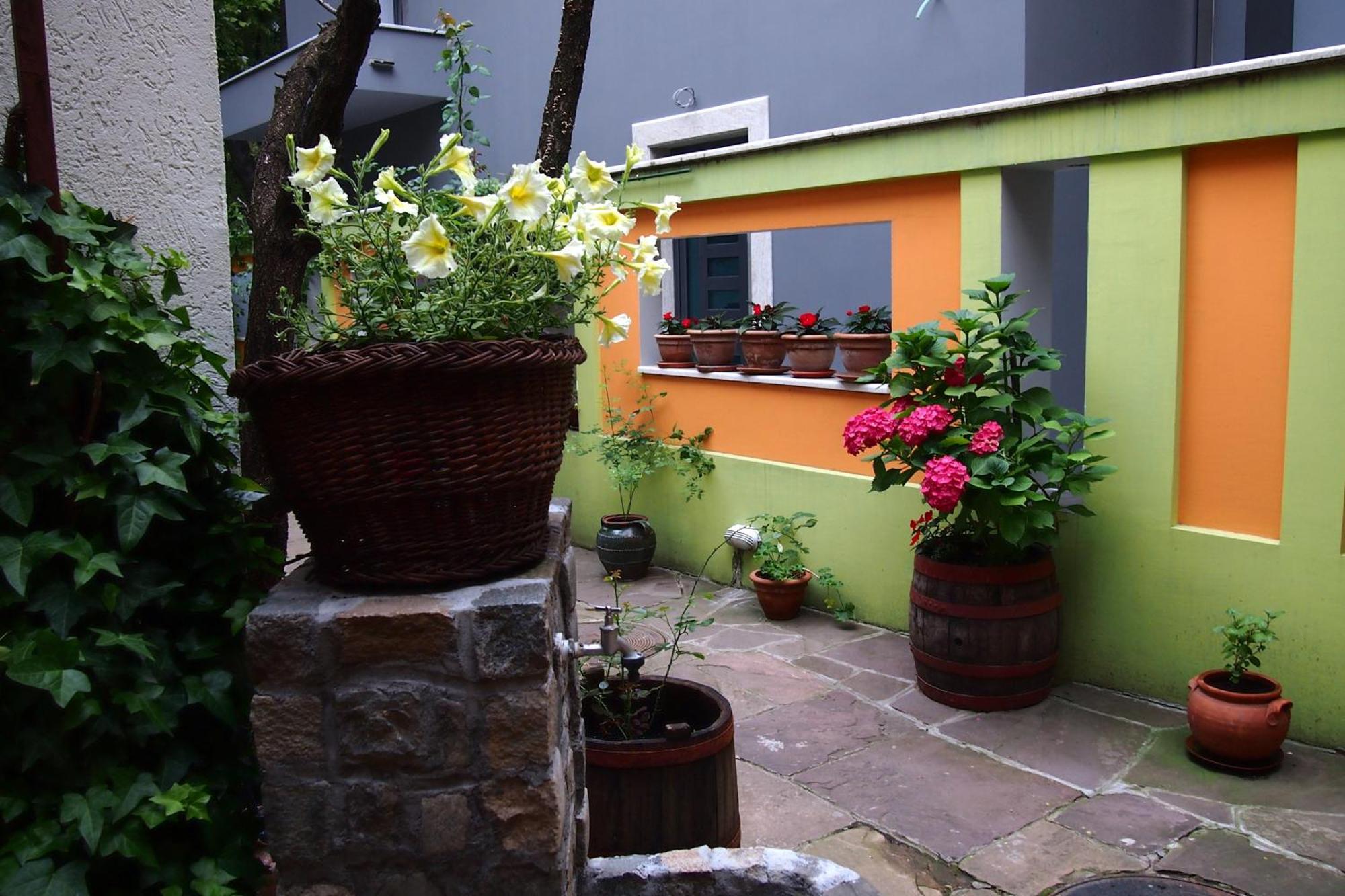 Guest Accommodation Etno Konak Tasana Ni Exteriör bild