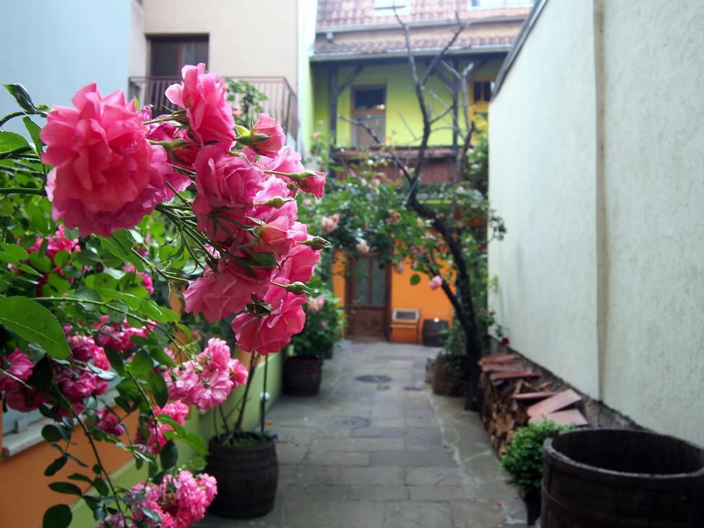 Guest Accommodation Etno Konak Tasana Ni Exteriör bild